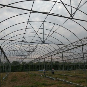 钢架大棚骨架全解析 选型、造价与育苗温室建设指南