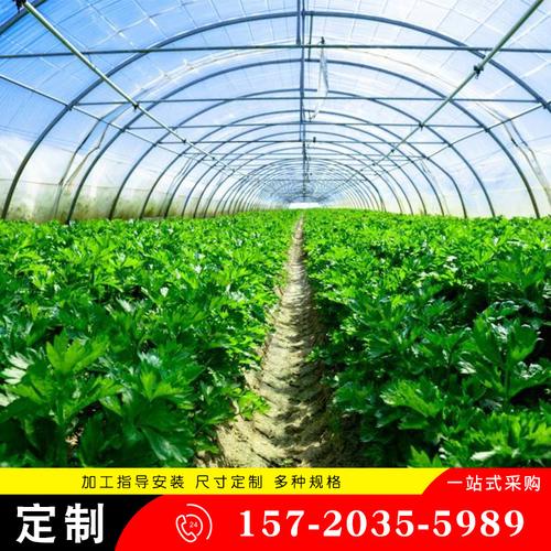 温室大棚工程钢架 连体花房大棚钢架的优势与应用