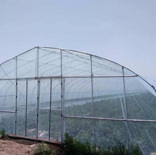 钢架大棚投资全解析 10米宽杨梅棚与2亩花卉棚的成本与建造指南