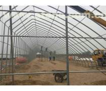 高效耐用的钢架大棚建设方案 优质产品信息与实施指南